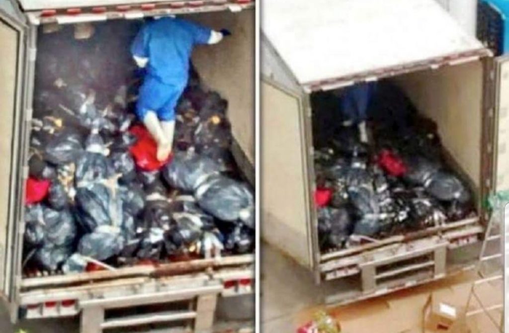 Orrore: Ritrovati 300 Cadaveri in 2 camion frigorifero