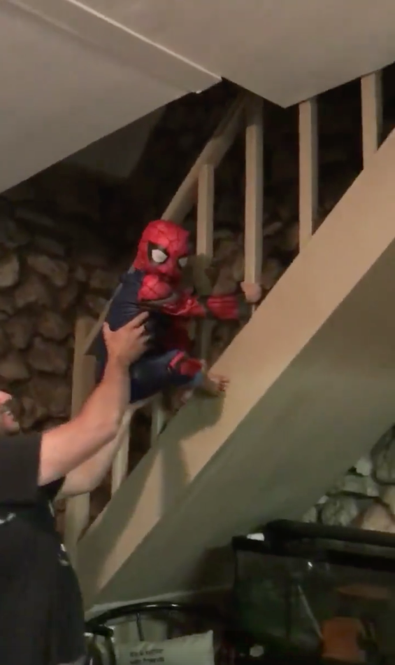 Spider-Kid vola per tutta la casa..