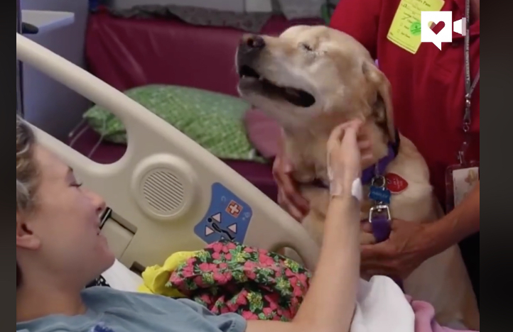 Cane senza occhi aiuta i bambini in ospedale