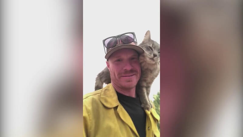 Gatto viene salvato dai roghi e non si vuole più staccare dalle spalle del pompiere – Video