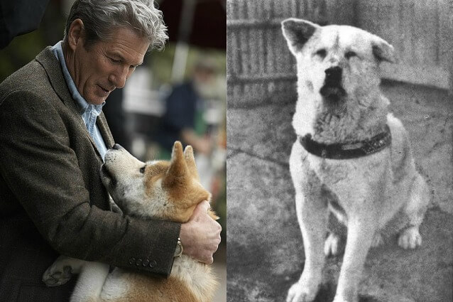 La vera storia di Hachiko, il cane che ha ispirato il film con Richard Gere