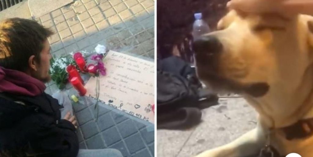 Agente uccide il cane, il senzatetto: “Era buono, gli ha sparato in testa senza esitare”