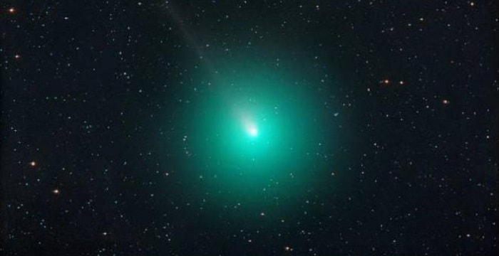 Arriva la Cometa di Natale: sarà visibile il 16 dicembre