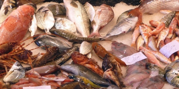 Sequestrati quintali di pesce in tutta Italia: «Polpi e seppie scaduti nel 2011 destinati ai cenoni»
