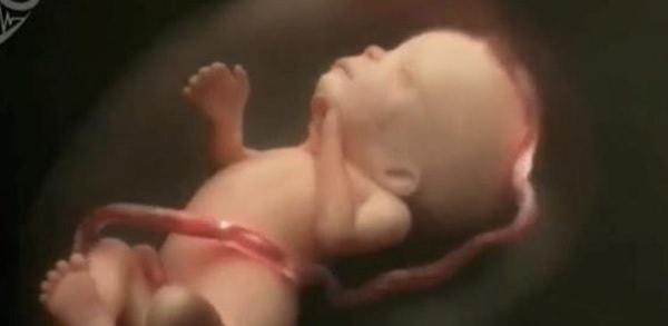 9 mesi di gravidanza riassunti in 4 minuti: la creazione emozionante della vita – Video