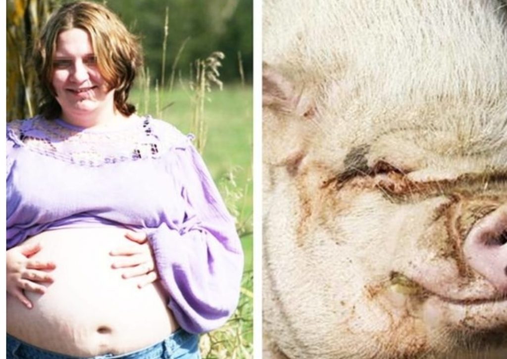 «Sono incinta di un maiale» Perde la sua verginità con un suino