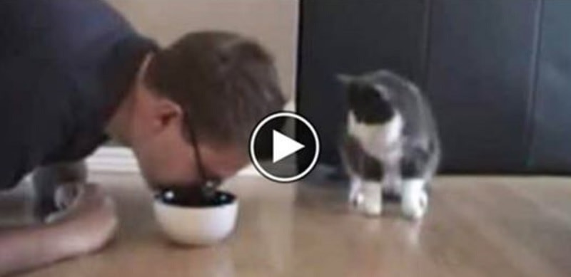 Il padrone finge di mangiare dalla sua ciotola: la reazione del gatto è divertentissima – Video