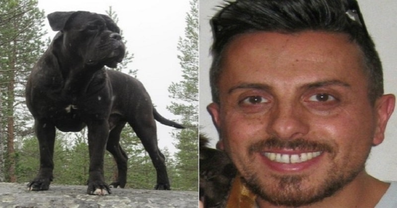 Sbranato a morte dal cane, un testimone: “Non è stato il suo Tiago ad aggredire Gianluca”