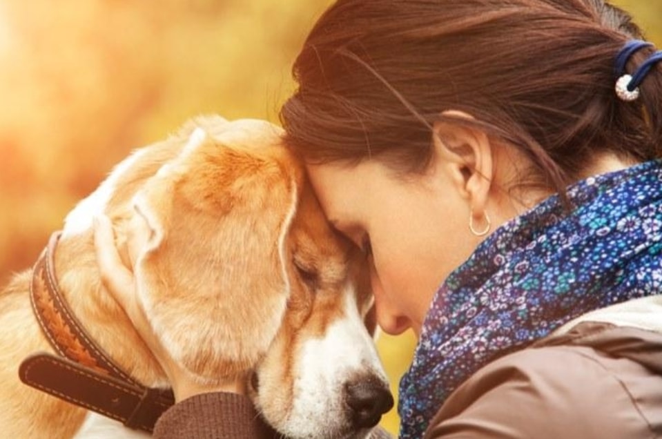 Perdere un cane fa soffrire quanto dire addio un familiare: lo dice la scienza