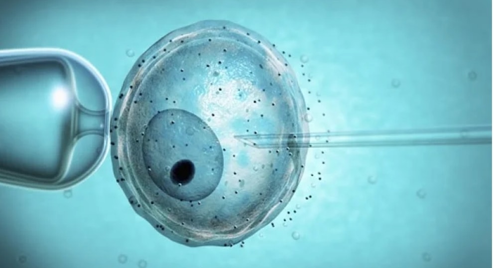 Medico della fertilità usa il suo seme al posto di quello dei donatori: ha almeno 49 figli
