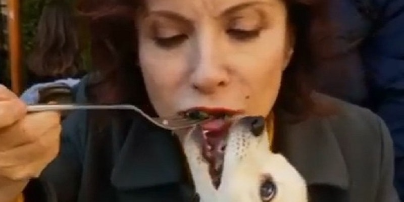 Alda D’Eusanio, il cane mangia dal suo stesso piatto: pioggia di critiche sui social per il video