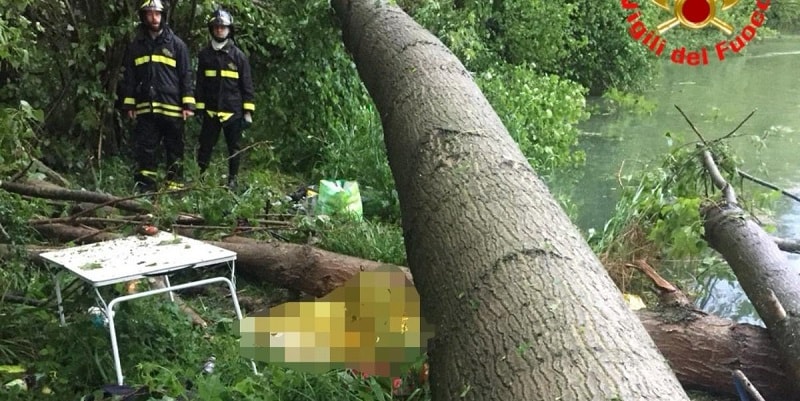 Maltempo, cade albero secolare e travolge 2 ragazzi: morti annegati