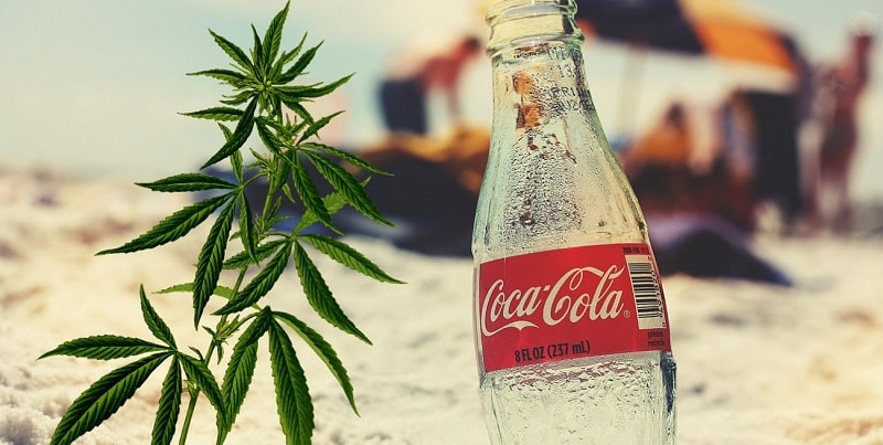 L’erede della Coca Cola arrestato con 5.000 piante di cannabis nel suo jet privato