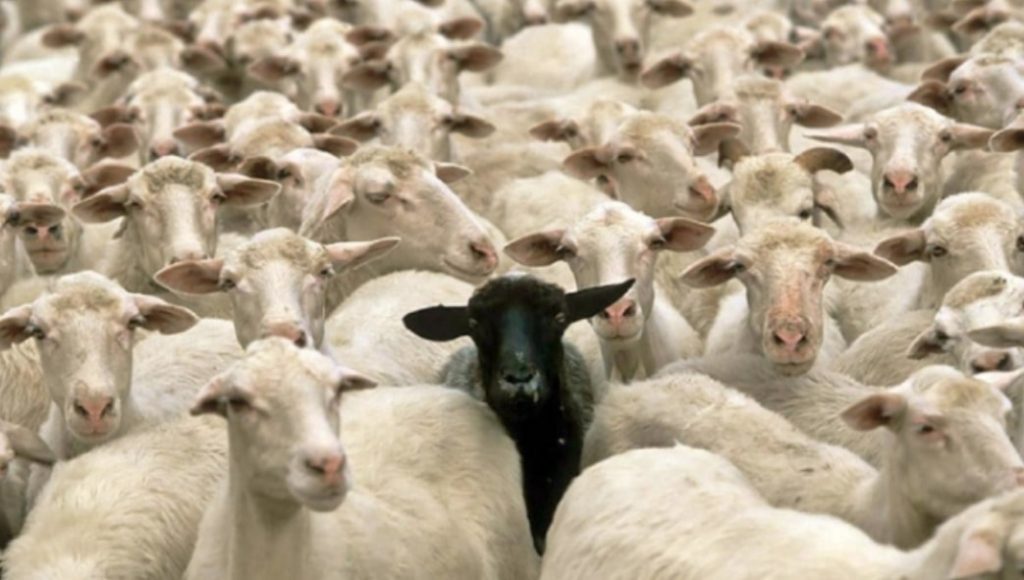 I secondogeniti sono le “pecore nere” della famiglia. Lo dice la scienza