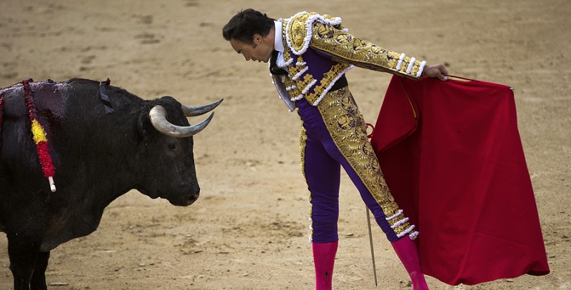 Corrida, matador sfida il toro ma viene incornato: è in fin di vita