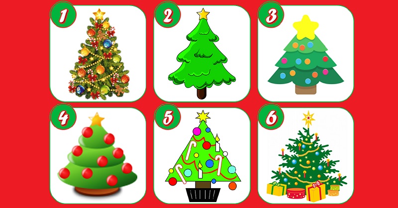 Test, scegli un albero di Natale e scopri il significato