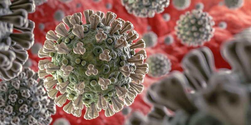 Coronavirus, studio conferma: il Virus c’è già da anni e non si trasmette per via respiratoria