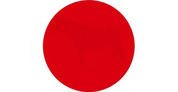 Riesci a vedere cosa nasconde il cerchio rosso?