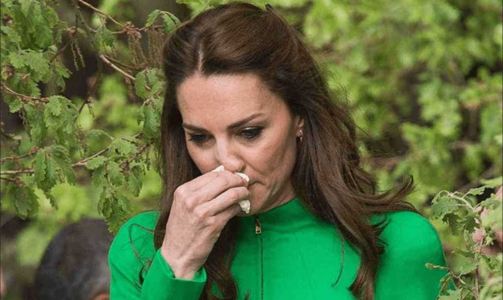 Kate Middleton: imbarazzo davanti al Paese, debiti per 1,4 milioni di sterline | Situazione disastrosa