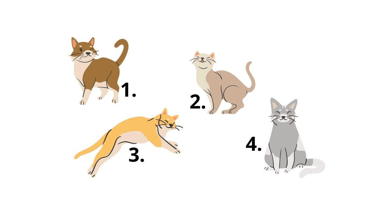 Test: scegli un gattino e scopri la tua personalità più segreta | Impara a conoscerti