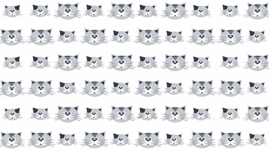 Aguzza la vista: Se sei un genio troverai in meno di 10 secondi questi gatti infuriati